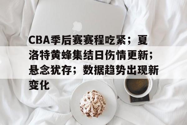 博鱼体育官网-CBA季后赛赛程吃紧；夏洛特黄蜂集结日伤情更新；悬念犹存；数据趋势出现新变化