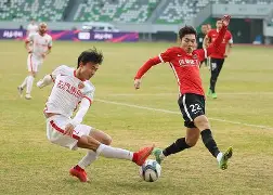 博鱼体育网页版-上海海港足球俱乐部对上海的意义